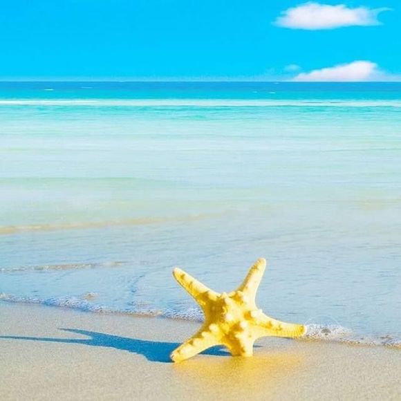 Meet your Posher, Jurielle - Picture 1 of 1